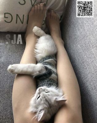 亚洲综合极品香蕉久久网_BD英语在线观看视频