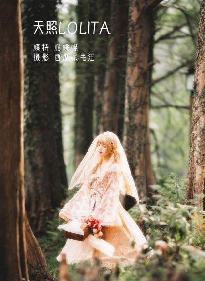 丁香花电视剧在线看免费_剧情片高清在线
